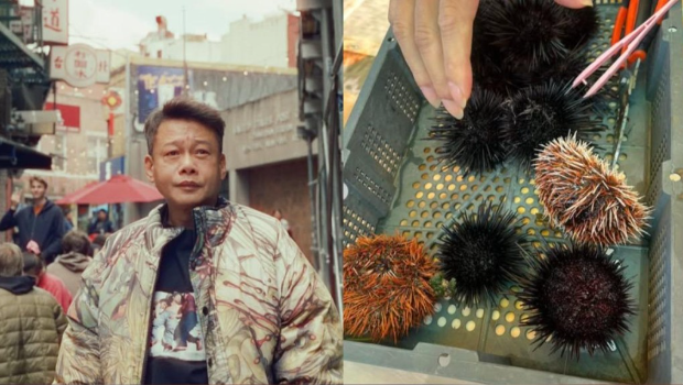 李康生涉偷窃海胆被当场拘捕。
